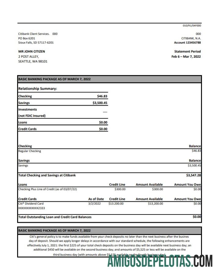 Australia Citibank Bank Statement Xls amostra