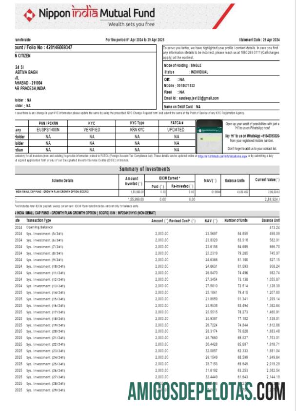 Modelo de extrato bancário INDIA NIPPON para impressão, formato Word e PDF