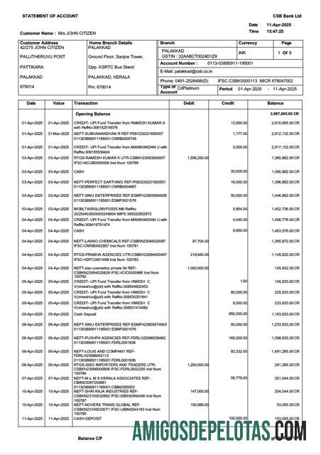 Extrato bancário CSB da Índia para impressão, modelo Word e PDF