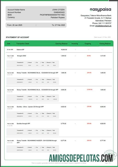 em branco Paquistão Easypaisa Extrato de conta modelo Word e PDF