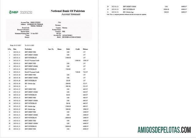 Extrato de conta do Banco Nacional do Paquistão para download, modelo Word e PDF, 2 páginas