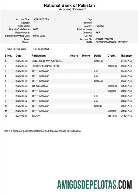 extrato de conta em branco do Banco Nacional do Paquistão, modelo Word e PDF, versão 2
