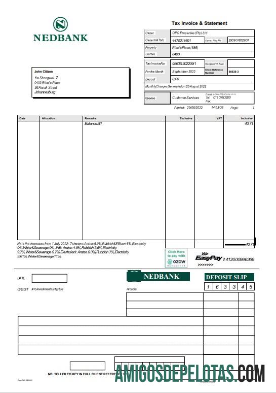 Declaração em branco do Nedbank da África do Sul modelo Word e PDF