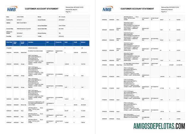 Extrato bancário da Tanzânia NMB para download, modelo Word e PDF, 2 páginas