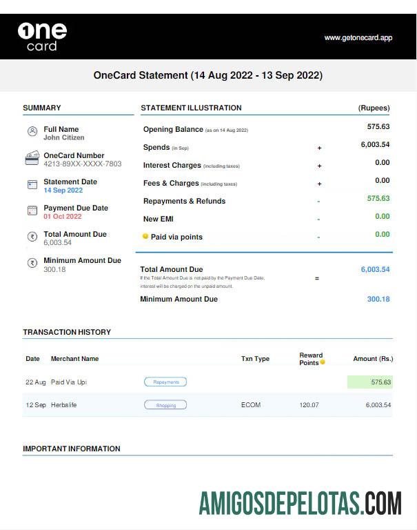 Declaração em branco do USA 1ONE CARD Modelo Word e PDF