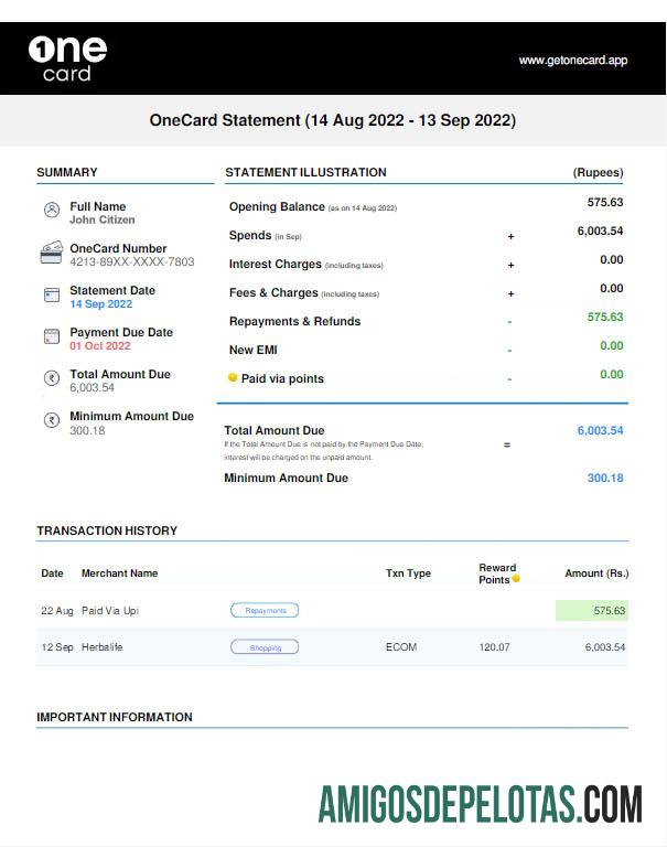 Declaração de cartão USA 1One para download em Word e PDF modelo W