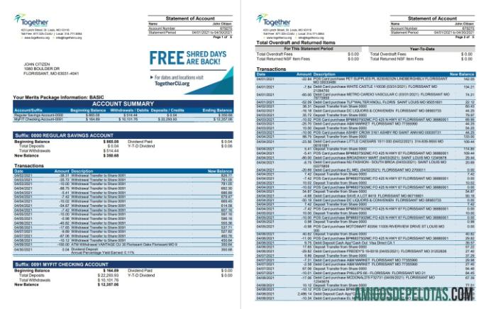 USA Missouri Together Credit Union Bank Word 6 Pages amostra