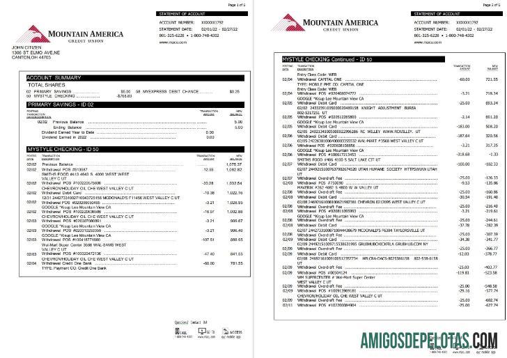 USA Mountain America Credit Union Statement 6 Pages amostra