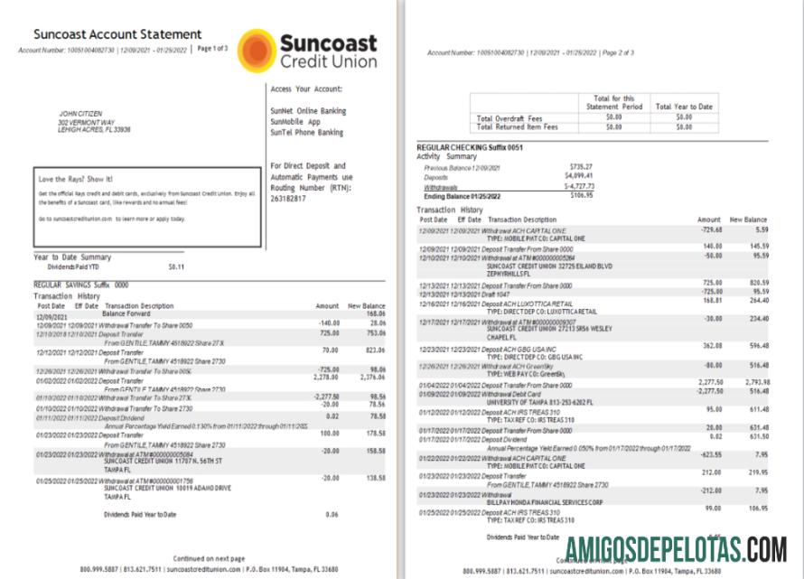 Extrato bancário do USA Suncoast para download em Word e PDF modelo 1 2