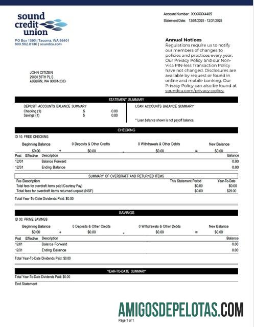 Extrato de conta da União de Crédito Washington Sound para impressão, modelo Word e PDF