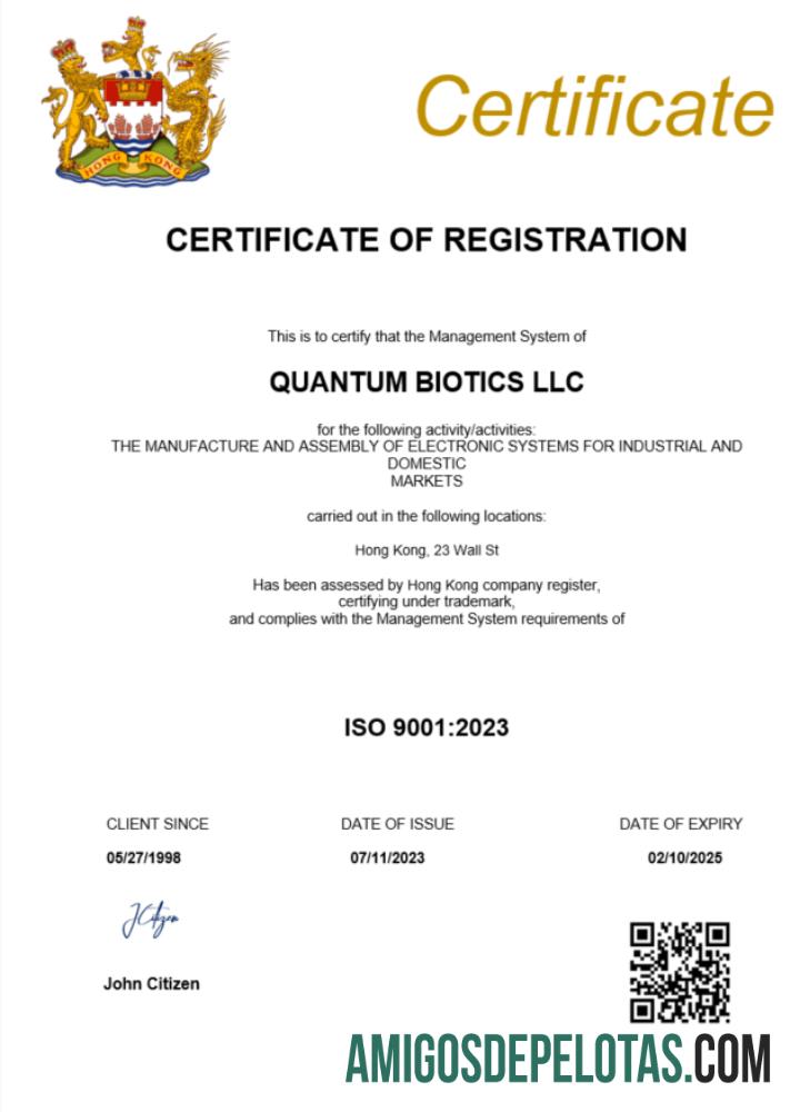 Modelo realista de certificado de registro de Hong Kong em Word e PDF