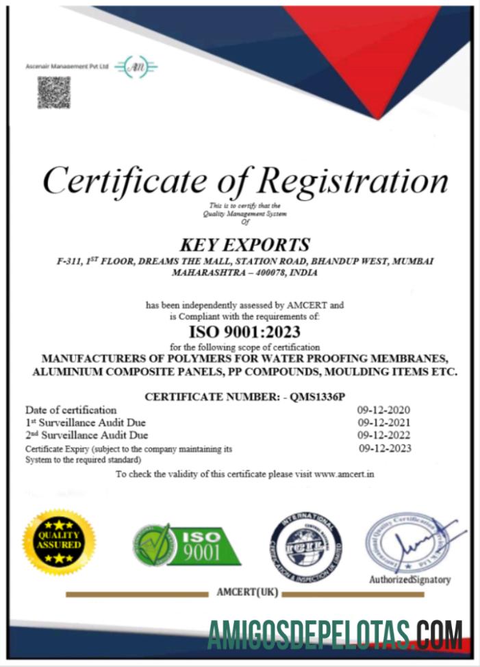 Certificado de registro de exportação de chave realista da Índia modelo Word e PDF