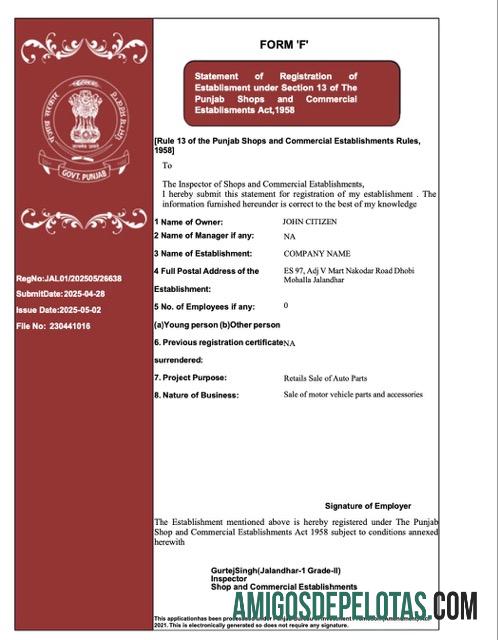 Certificado de registro de Punjab da Índia para download, modelo Word e PDF, versão 2