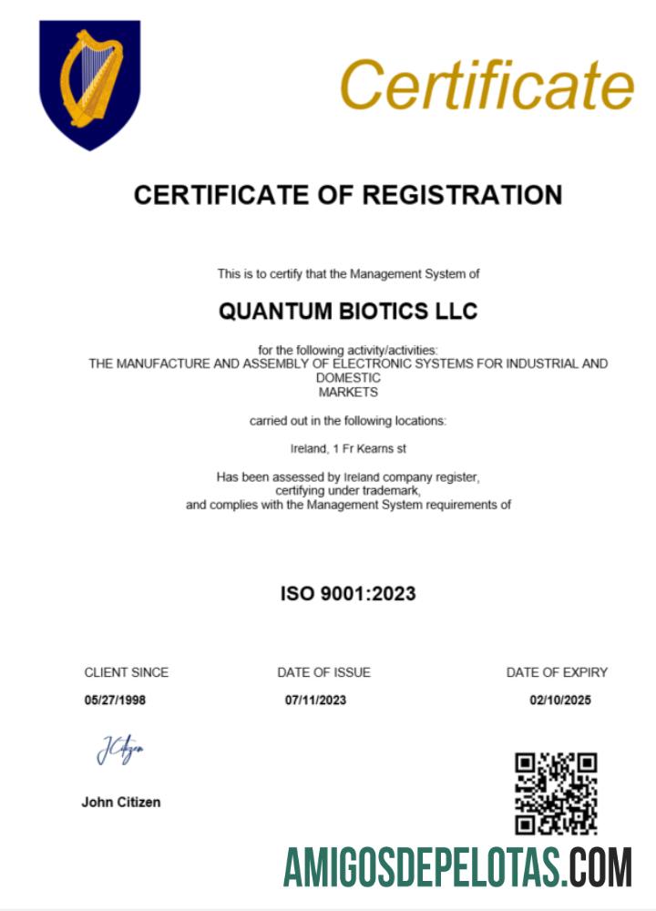 certificado de registro da Irlanda em branco modelo Word e PDF