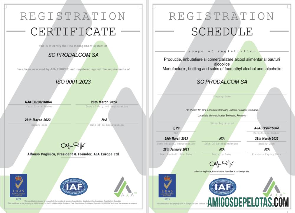 Certificado de registro da Itália para download, modelo Word e PDF