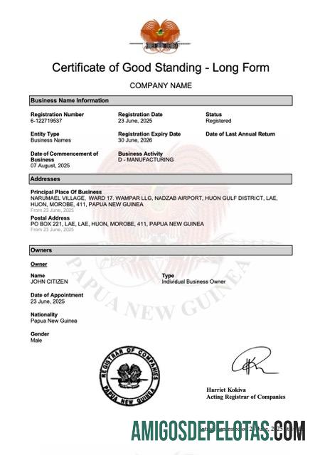 Certificado de boa situação da Nova Guiné para download, modelo Word e PDF, versão 2