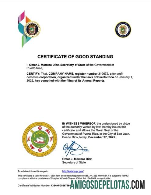 Certificado de boa reputação de Porto Rico para impressão, modelo Word e PDF