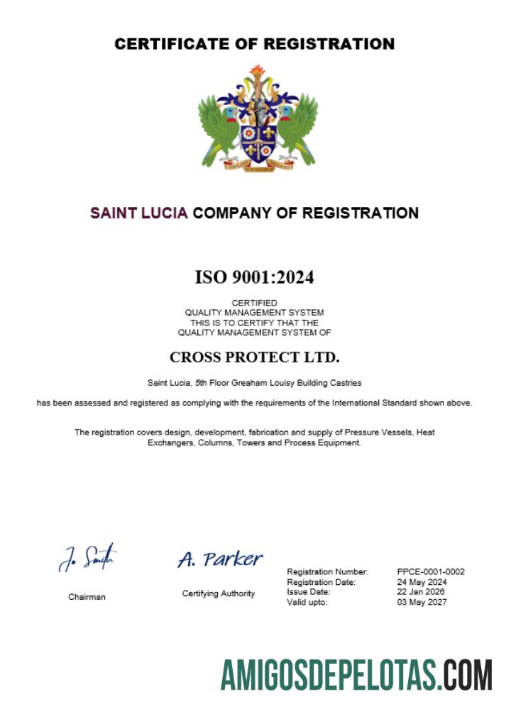 em branco Certificado de registro comercial de Santa Lúcia modelo Word e PDF