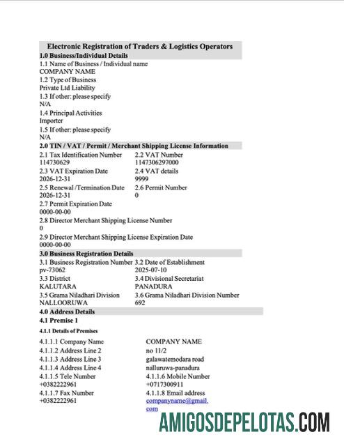 Modelo Word e PDF de registro eletrônico do Sri Lanka para impressão