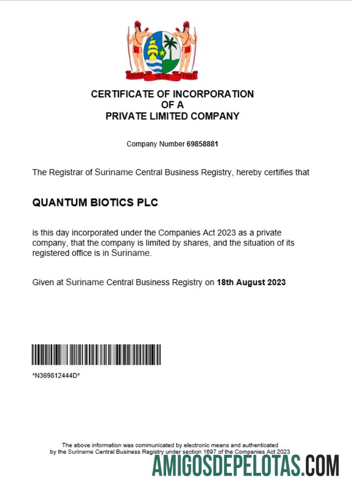 Certificado de registro comercial do Suriname para impressão, modelo Word e PDF