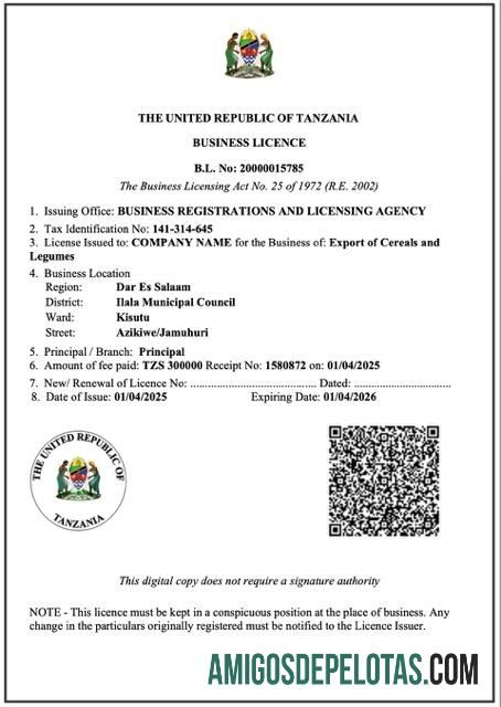 Licença comercial realista da Tanzânia modelo Word e PDF