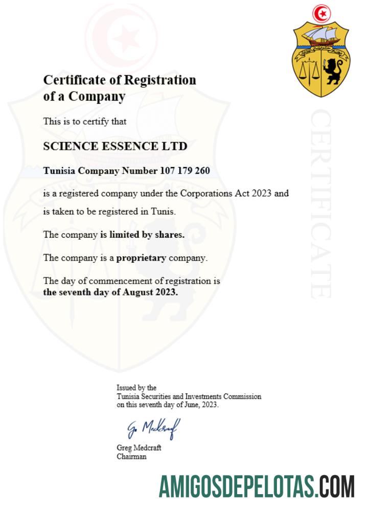 Certificado de registro comercial da Tunísia em branco Modelo Word e PDF