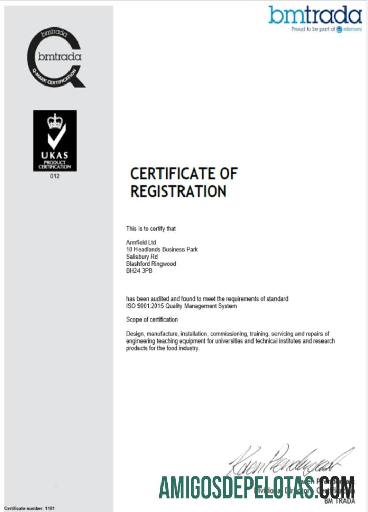 Certificado BMTrada de registro de empresa no Reino Unido para download, modelo Word e PDF