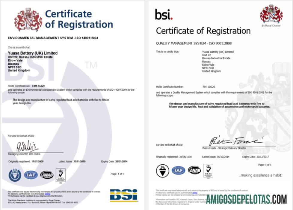 Certificado de registro BSI do Reino Unido para impressão, modelo Word e PDF