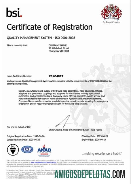 Modelo realista de certificado de registro do Reino Unido em Word e PDF