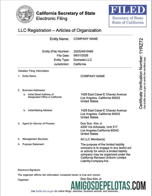 Modelo Word e PDF para registro da USA California LLC para download