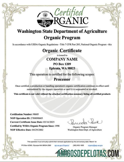 Certificado orgânico realista da empresa nos EUA Washington Word e modelo PDF