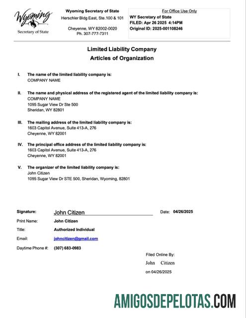 Artigos de organização dos EUA Wyoming para download, modelo Word e PDF