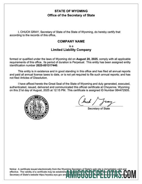 Certificado de registro dos EUA Wyoming para impressão, modelo Word e PDF