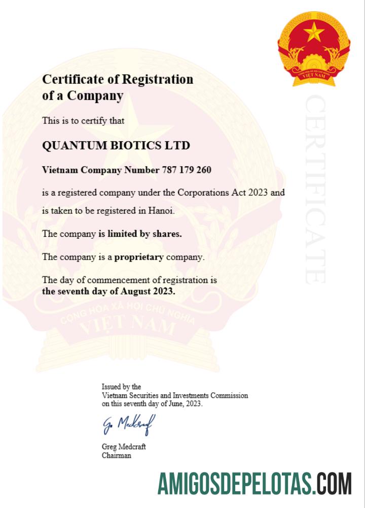 Modelo realista de certificado de registro comercial do Vietnã Word e PDF