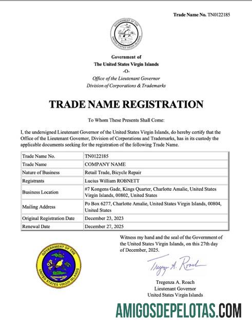 Modelo realista de certificado de registro de nome comercial da Ilha Virgem em Word e PDF