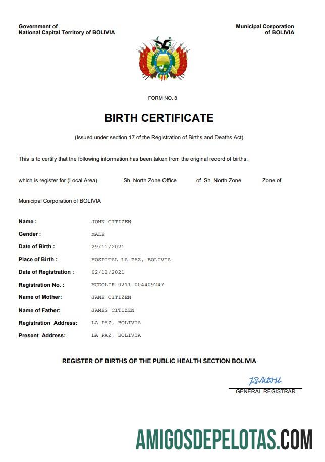 para download Modelo Word e PDF de certidão de nascimento de registro vital da Bolívia