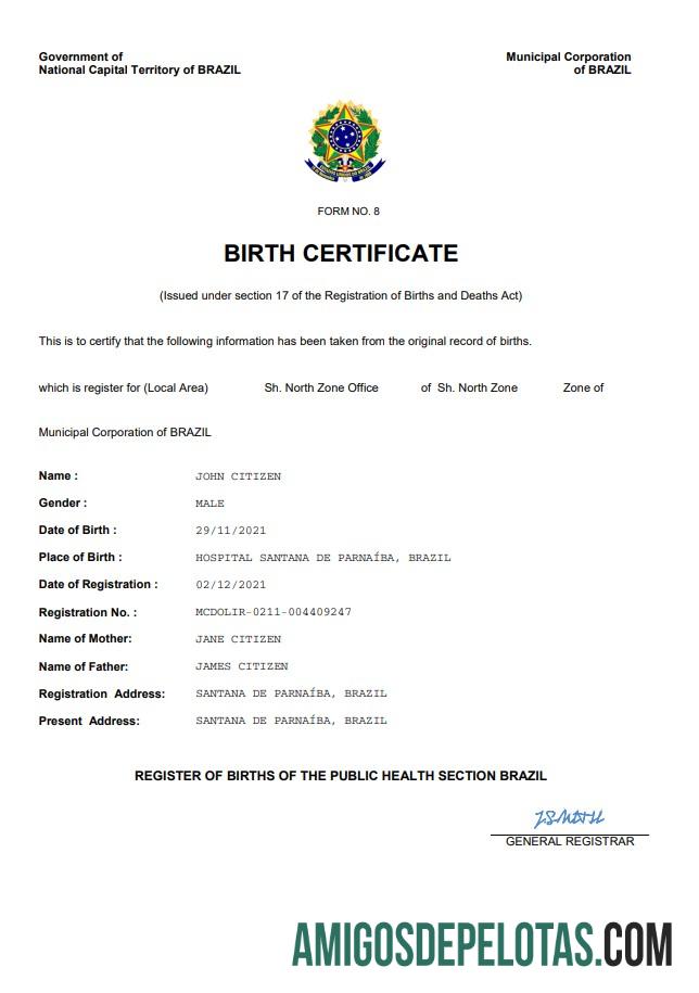 Em branco modelo Word e PDF de certidão de nascimento de registro vital do Brasil