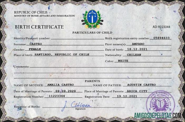 Em branco modelo PSD de certidão de nascimento de registro vital do Chile