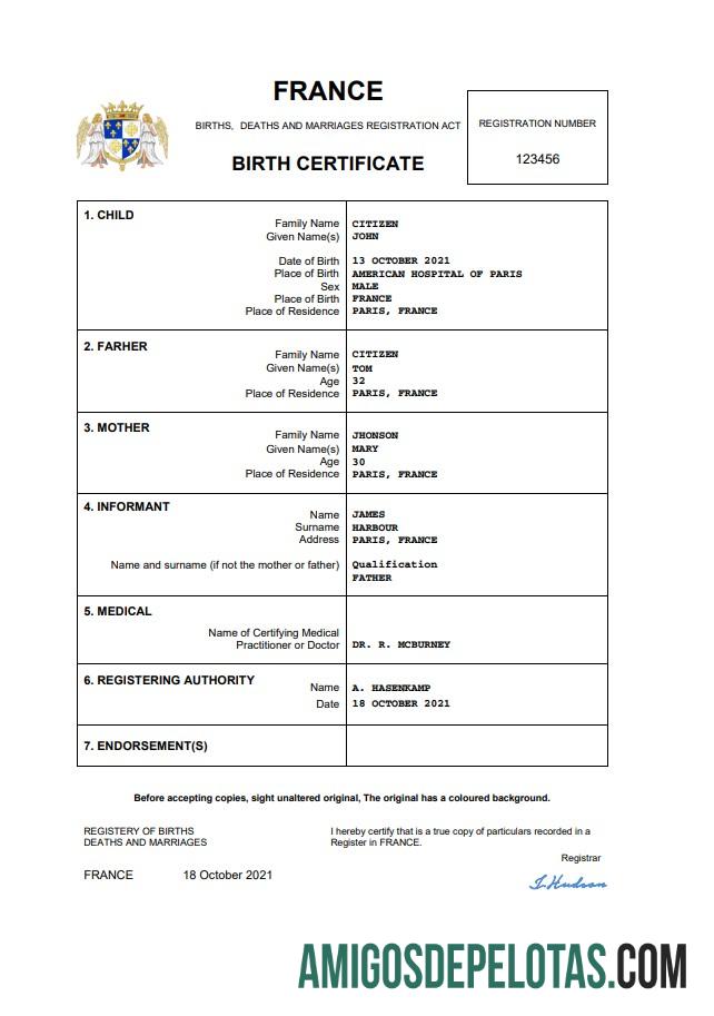 Em branco modelo Word e PDF de certidão de nascimento na França