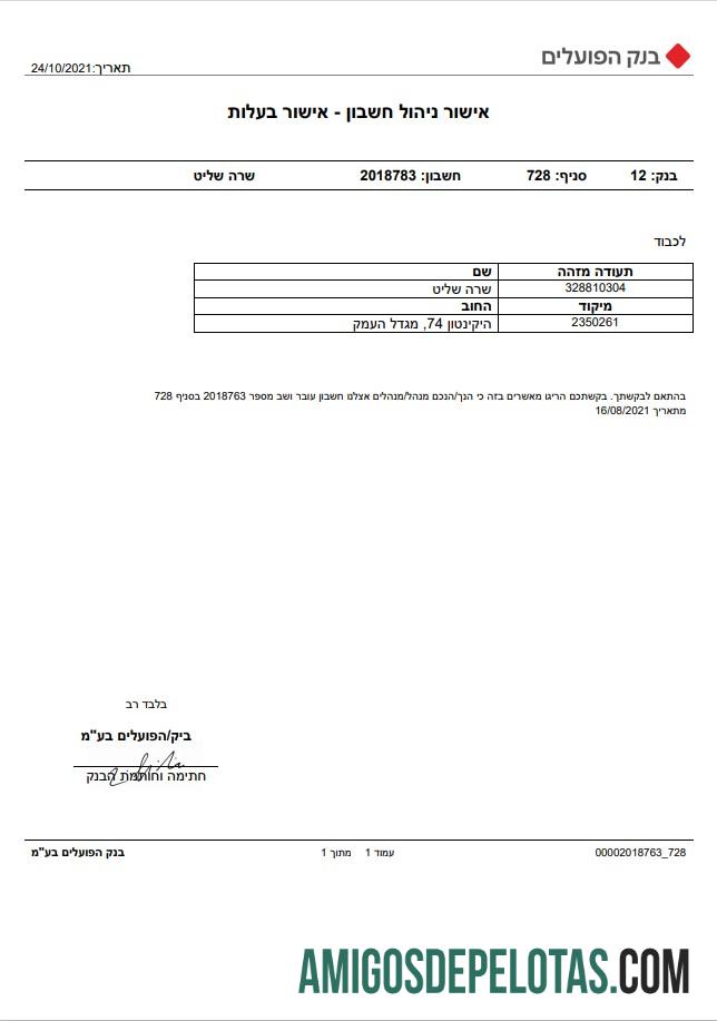 para download Israel Bank Of Hapoalim Account Management – ​​Modelo de certificado de propriedade em formato Word e PDF