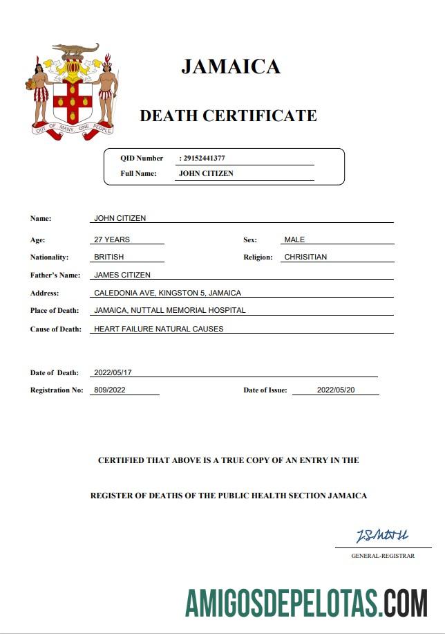 realista Modelo Word e PDF de certidão de óbito de registro vital da Jamaica