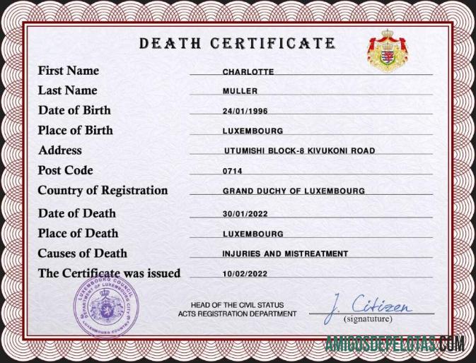 Em branco modelo PSD de certidão de óbito de registro vital de Luxemburgo