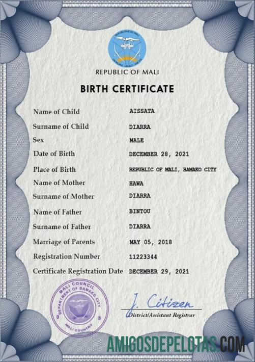 Em branco modelo PSD de certidão de nascimento do Mali