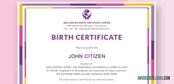 Certidão de Nascimento do Centro de Certidão de Nascimento de Wellington da Nova Zelândia modelo