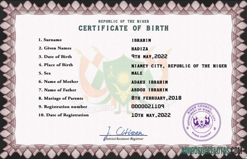 Imprimível modelo PSD de certidão de nascimento de registro vital do Níger