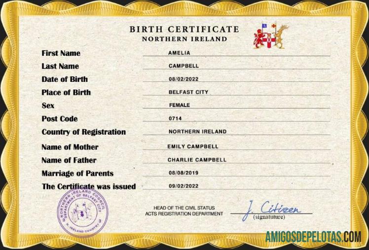 para download Modelo PSD de certidão de nascimento de registro vital da Irlanda do Norte