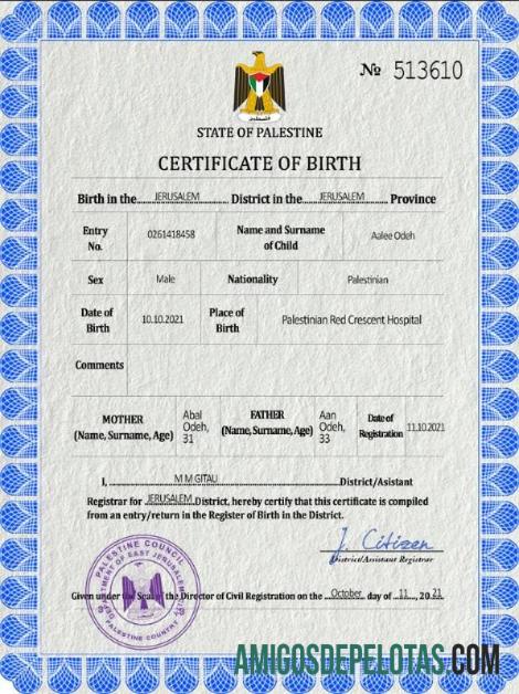 Imprimível modelo PSD de certidão de nascimento de registro vital da Palestina