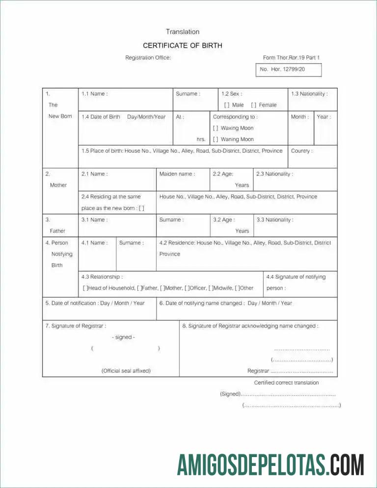 Certidão de Nascimento do Cartório de Registro exemplo real