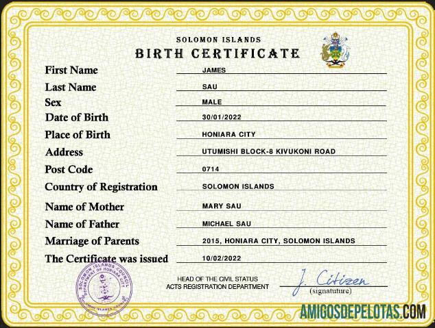 Imprimível modelo PSD de certidão de nascimento de registro vital de Solomon