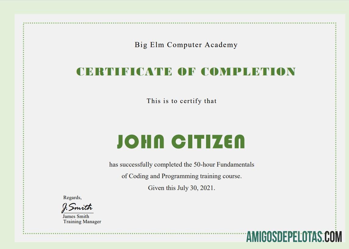 Em branco modelo de certificado de treinamento em informática dos EUA em formato Word e PDF